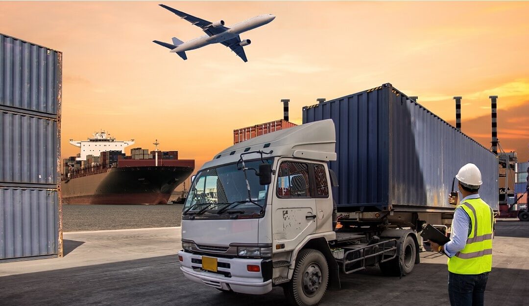 How does a logistics company cater to diverse international markets while maintaining localized and personalized logistics solutions?